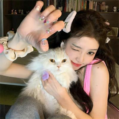 鲁邦三世:天使的策略~梦的碎片是杀人的香味~